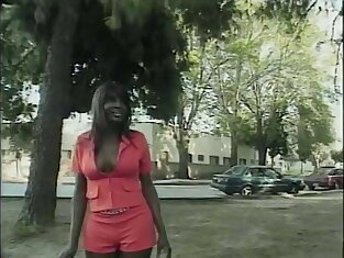 Black comely tranny is ready to get naked and give  blowy